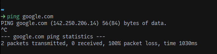 Ping Response normally resolves to 142.250.206.14
